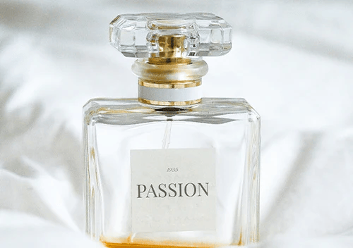 CollectionsImg3_500x